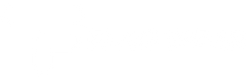 Flag Wear